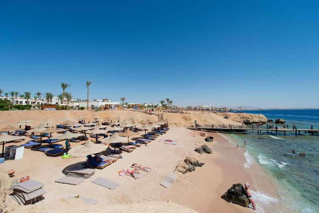 Autunno a Sharm - Egitto Sharm El Sheikh Amphoras Beach 5*
